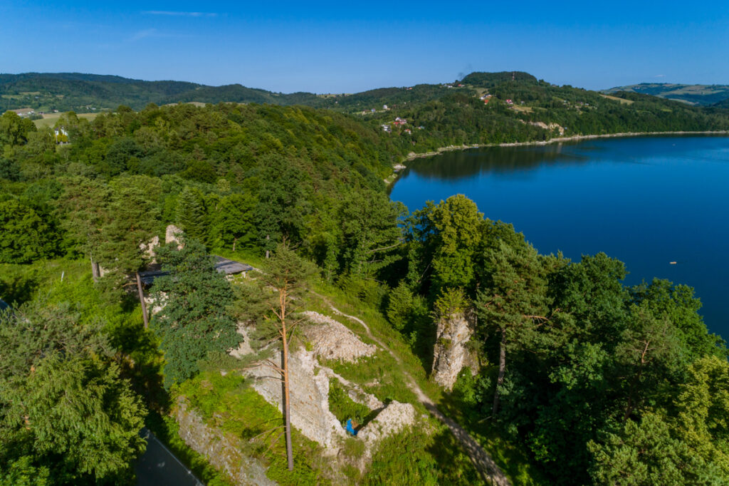 Ruiny zamku Zawiszy Czarnego w Rożnowie