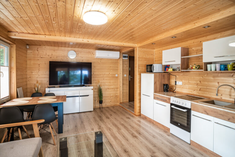 Domki Wiesiółka Apartament 1